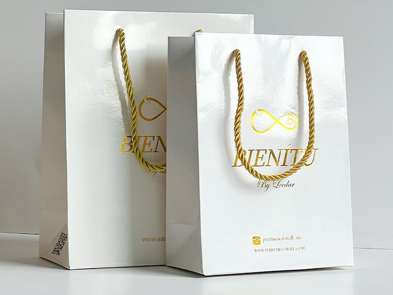 Custom Paper Bags: The Overlooked Tool for Brand Growth